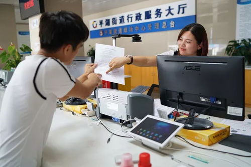 厲害了我的平湖——政務服務改革創新成效顯著，信息咨詢服務再升級