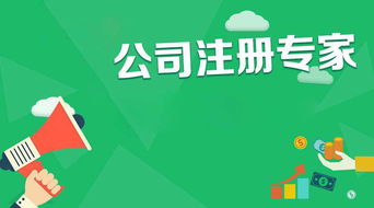 西安通稅財(cái)務(wù)咨詢 快速高效的營(yíng)業(yè)執(zhí)照代辦服務(wù)